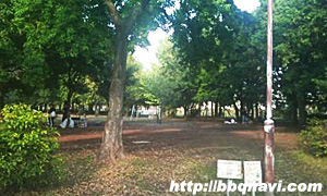 舎人公園 バーベキュー