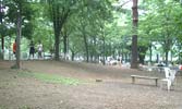 府中の森公園