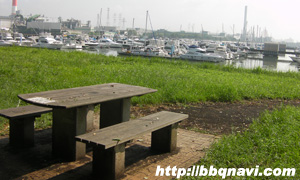 夢の島公園　バーベキュー