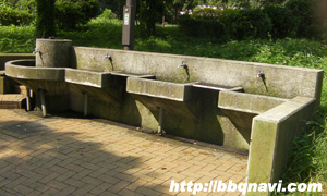 夢の島公園　水道