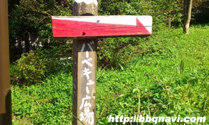 こども自然公園 バーベキュー広場