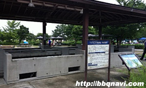 戸田川緑地 水場