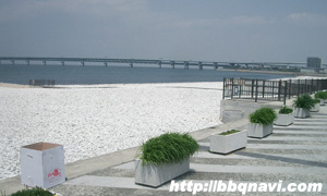 りんくう公園（マーブルビーチ）