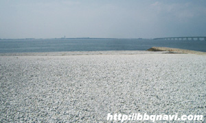 マーブルビーチ バーベキュー