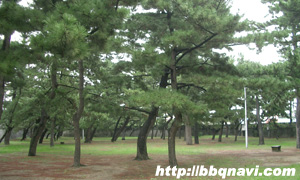 二色の浜 バーベキュー