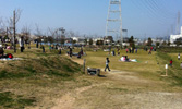 石川河川公園　駒ヶ谷地区