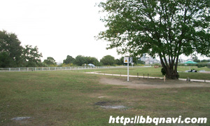 淀川河川公園　西中島地区