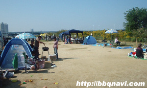 淀川河川公園　海老江地区