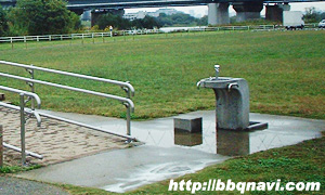 淀川 鳥飼上 水場