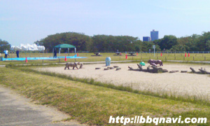 淀川三島江地区 バーベキュー