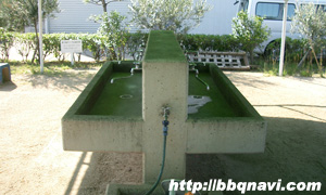 バーベキュー 海洋センター