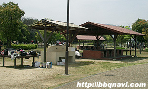 矢橋帰帆島公園　バーベキュー