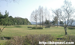 湖岸緑地 バーベキュー