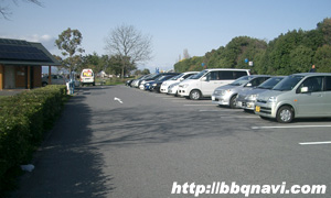 湖岸緑地 駐車場