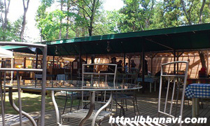 フォンテーヌの森 BBQ