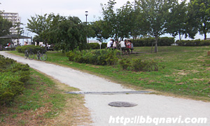 大島小松川公園