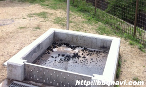 舟渡池公園 炭捨て場