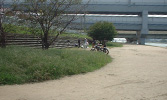 武庫川河川敷（阪神武庫川駅 尼崎側周辺）