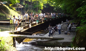 千早川マス釣り場