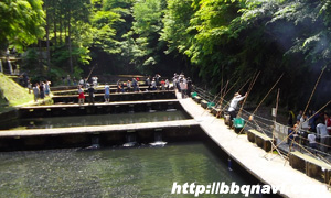 千早川マス釣り場　釣堀