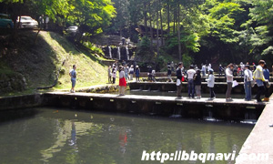 千早川マス釣り場　釣堀