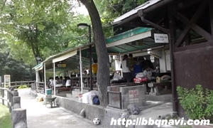 星の里いわふね