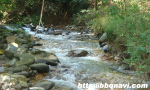 武石の森 バーベキュー