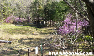 甲山キャンプ場