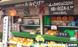 城山オレンヂ園 おみやげ