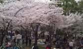長居公園　（期間限定）